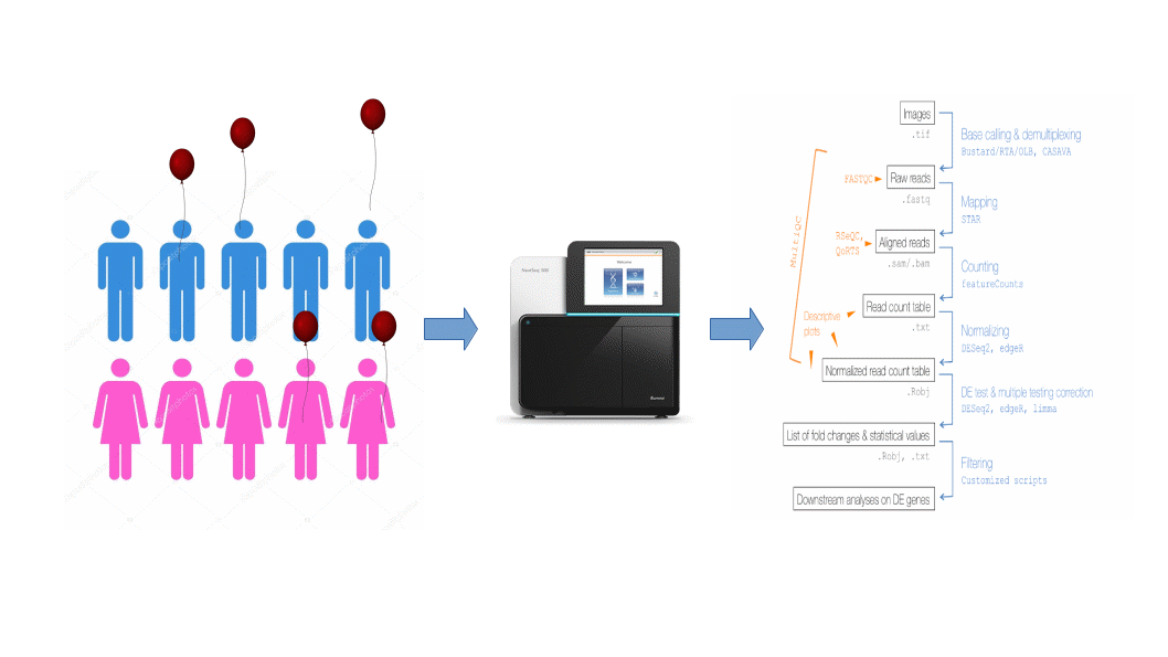 RNA PIPELINES 